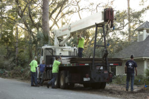 Tree Removal Crane Crew